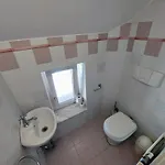 R24, Rose House Ljubljana