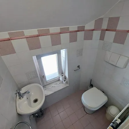R24, Rose House Lubiana