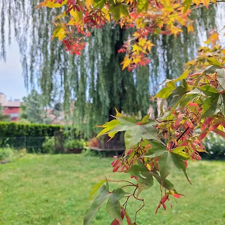R24, Rose House Ljubljana