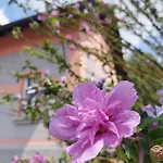 Privat bolig R24, Rose House *