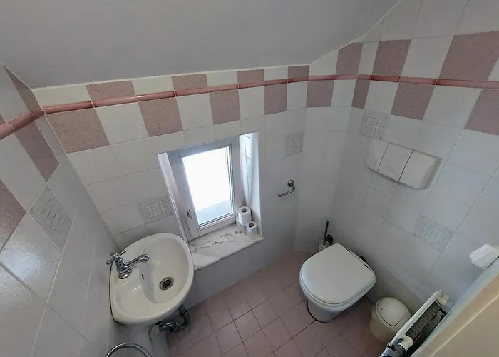 R24, Rose House Lublaň